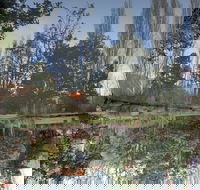 Giants' Table and Cottages - Grafton Accommodation