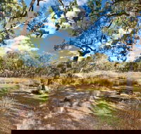 Kings Plains Creek campground - Grafton Accommodation