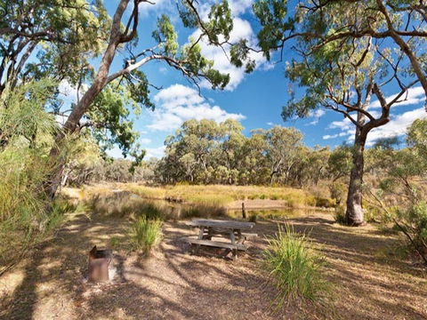 Kings Plains Creek Campground - Grafton Accommodation 0