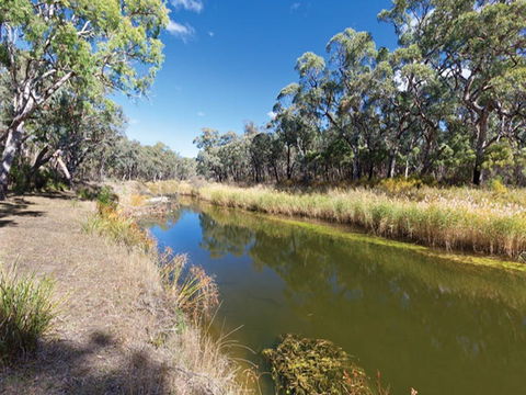Kings Plains Creek Campground - Grafton Accommodation 1