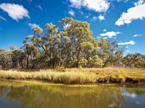 Kings Plains Creek Campground - Grafton Accommodation 2