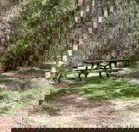 Mulloon Creek campground - Grafton Accommodation