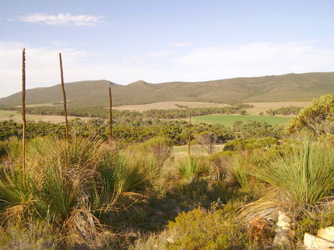 Nyroca Campsite & Group Accommodation - Grafton Accommodation 0