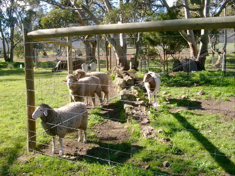 Nyroca Campsite & Group Accommodation - Grafton Accommodation 2