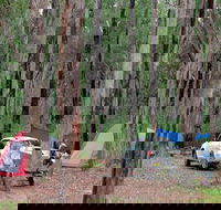 Wallingat River campground - Grafton Accommodation