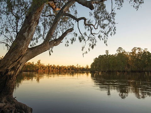 Woperana Campground - Grafton Accommodation 0
