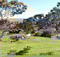 Austiny Bed and Breakfast - Grafton Accommodation