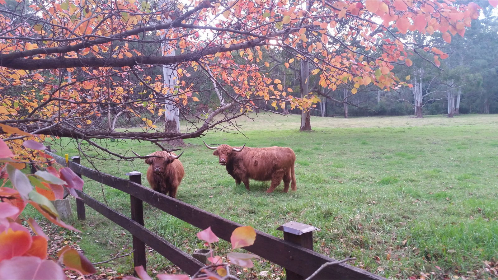 Annangrove NSW Grafton Accommodation