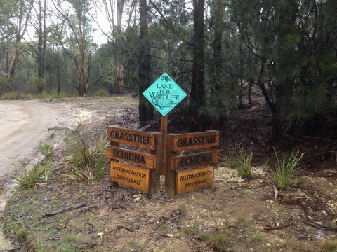 Echidna On Bruny - Grafton Accommodation 1