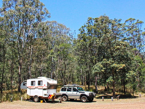 Main Range National Park Camping - Grafton Accommodation 1