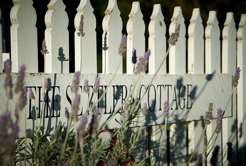 Mayfield Vineyard Cottages - Grafton Accommodation 0