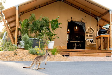 BIG4 Anglesea Holiday Park - Grafton Accommodation 2