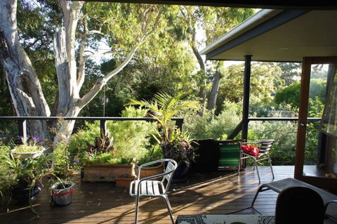 Kookaburra Dreaming - Grafton Accommodation 2