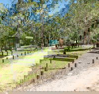 Mogo campground - Grafton Accommodation