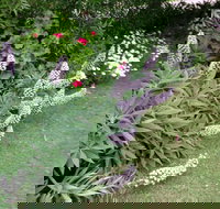 Padthaway Caravan Park - Grafton Accommodation