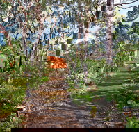 Sea View Lodge - Grafton Accommodation