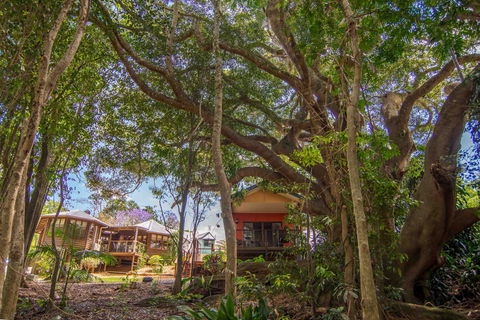 The African Village - By Clouds - Grafton Accommodation 0