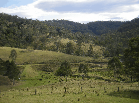 Yasuragi Cabins - Grafton Accommodation