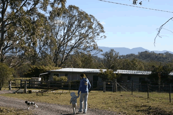 Bumblebrook Farm Motel - Grafton Accommodation