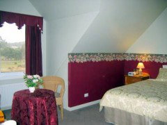 Canadian Lodge - Grafton Accommodation 5