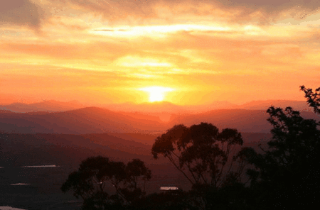 Avocado Sunset - Grafton Accommodation 0