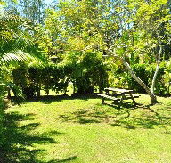 Wooli Caravan Park - Grafton Accommodation