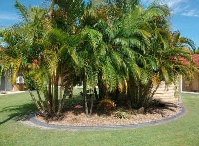 Yamba Motor Inn - Grafton Accommodation 5