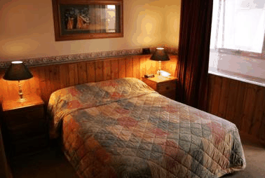 Astor Inn Hotel - Grafton Accommodation