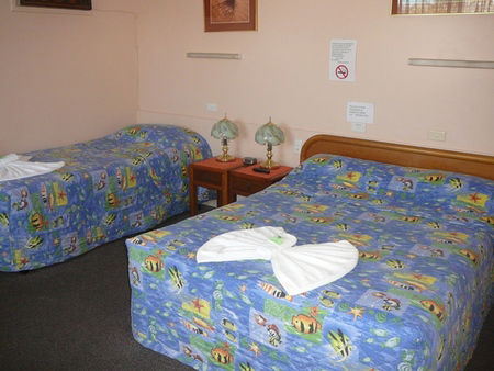 Civic Motel Grafton - Grafton Accommodation 2