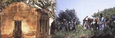 St Helena Island - Grafton Accommodation 1