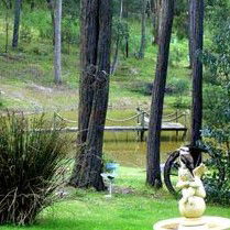 Gain Life Healing Health Retreat - Grafton Accommodation 2