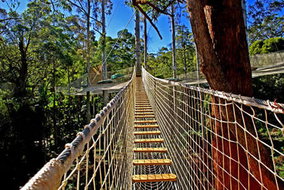 Book North Tamborine QLD Attractions Grafton Accommodation Grafton Accommodation