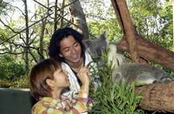 Taronga Zoo - Grafton Accommodation 2