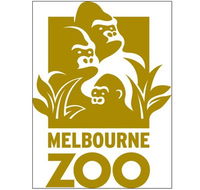 Melbourne Zoo - Grafton Accommodation