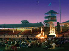 Starlight Cinema - Grafton Accommodation 1