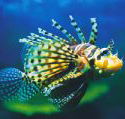 Underwater World