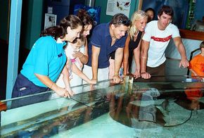 Underwater World - Grafton Accommodation 3