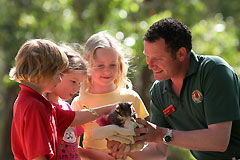 Cleland Wildlife Park - Grafton Accommodation 0