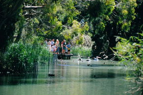 Cleland Wildlife Park - Grafton Accommodation 1