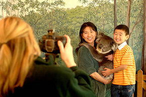 Cleland Wildlife Park - Grafton Accommodation 2