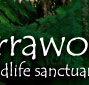 Warrawong Wildlife Park - Grafton Accommodation