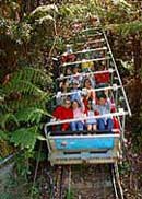 Scenic World Blue Mountains - Grafton Accommodation 2