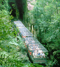Scenic World Blue Mountains - Grafton Accommodation 3