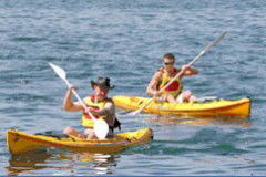 Manly Kayaks - Grafton Accommodation 0