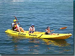 Manly Kayaks - Grafton Accommodation 3