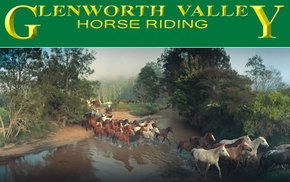 Glenworth Valley Horseriding - Grafton Accommodation 0