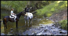 Glenworth Valley Horseriding - Grafton Accommodation 1