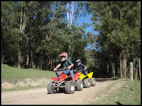 Glenworth Valley Horseriding - Grafton Accommodation 3