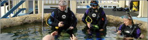 Scuba World - Grafton Accommodation 2