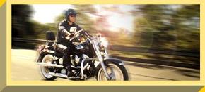 Easy Rider - Grafton Accommodation 1